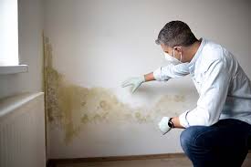 Best Industrial Mold Remediation  in Houserville, PA